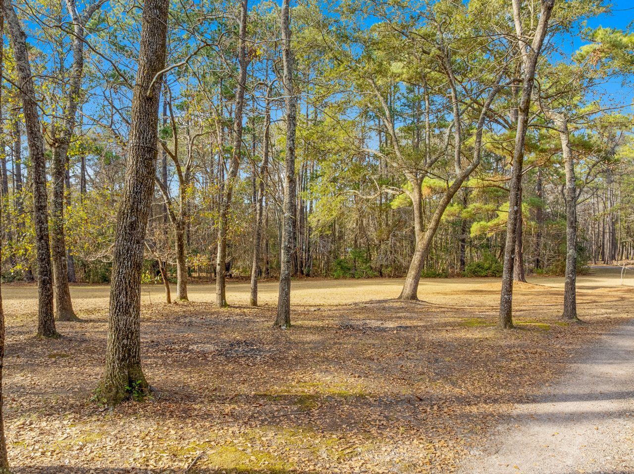 245 Kingrail Lane Photo 31