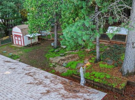 23568 Robin Rd, Pioneer, CA 95666 Photo