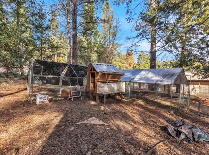 23568 Robin Rd, Pioneer, CA 95666 Photo