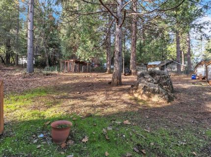 23568 Robin Rd, Pioneer, CA 95666 Photo