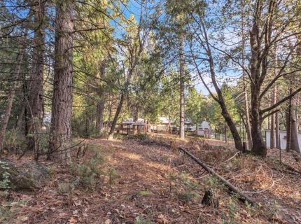 23568 Robin Rd, Pioneer, CA 95666 Photo