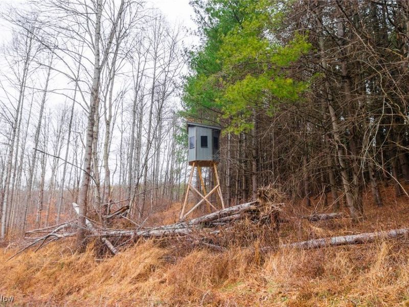 Glen Long Road, Caldwell, OH 43724 Photo 10