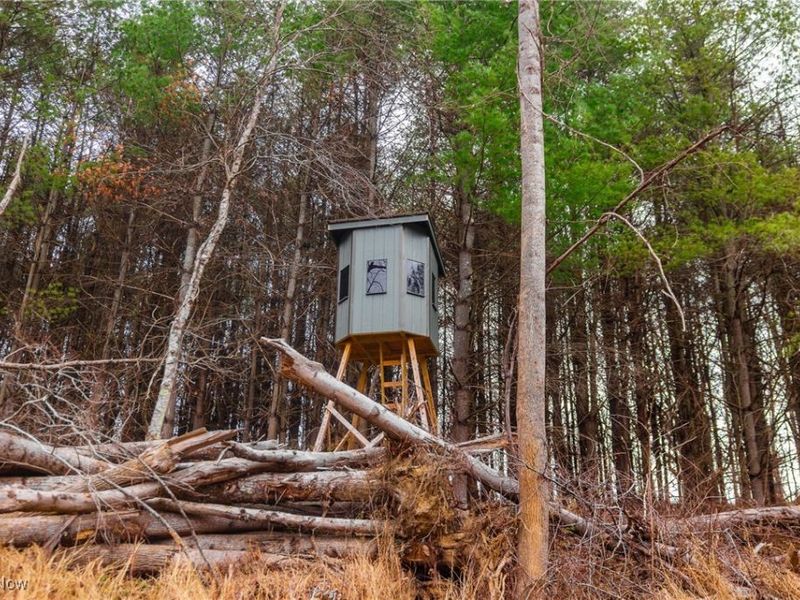 Glen Long Road, Caldwell, OH 43724 Photo 11