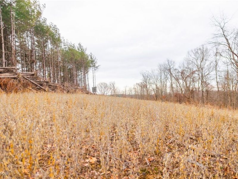 Glen Long Road, Caldwell, OH 43724 Photo 12