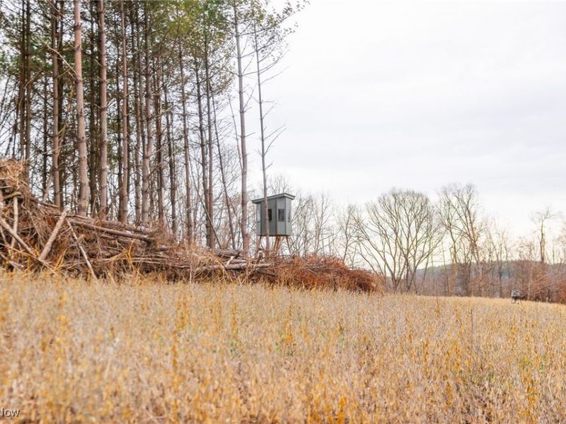 Glen Long Road, Caldwell, OH 43724 Photo 13