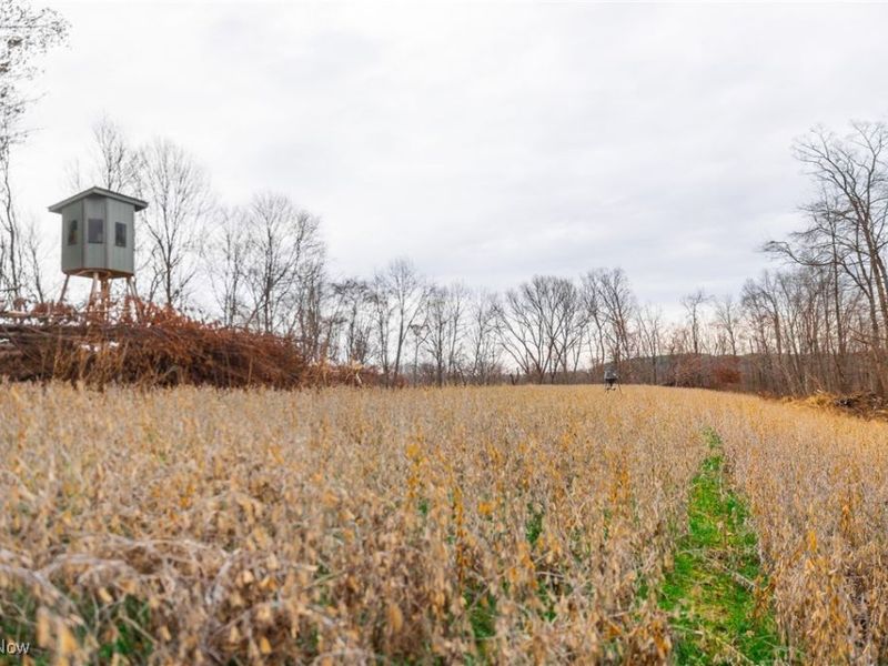 Glen Long Road, Caldwell, OH 43724 Photo 14