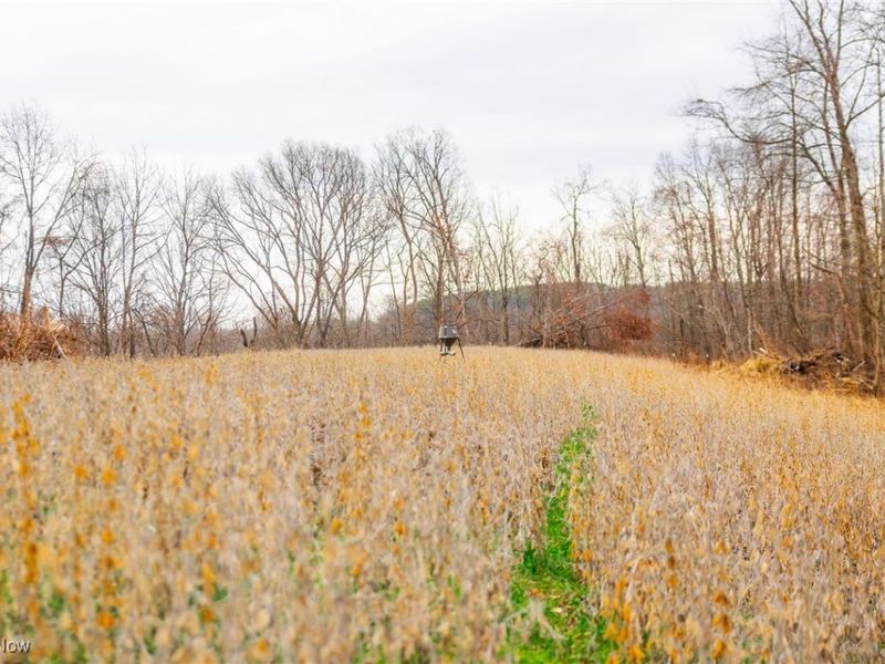 Glen Long Road, Caldwell, OH 43724 Photo 15