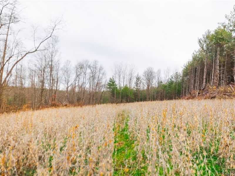 Glen Long Road, Caldwell, OH 43724 Photo 16