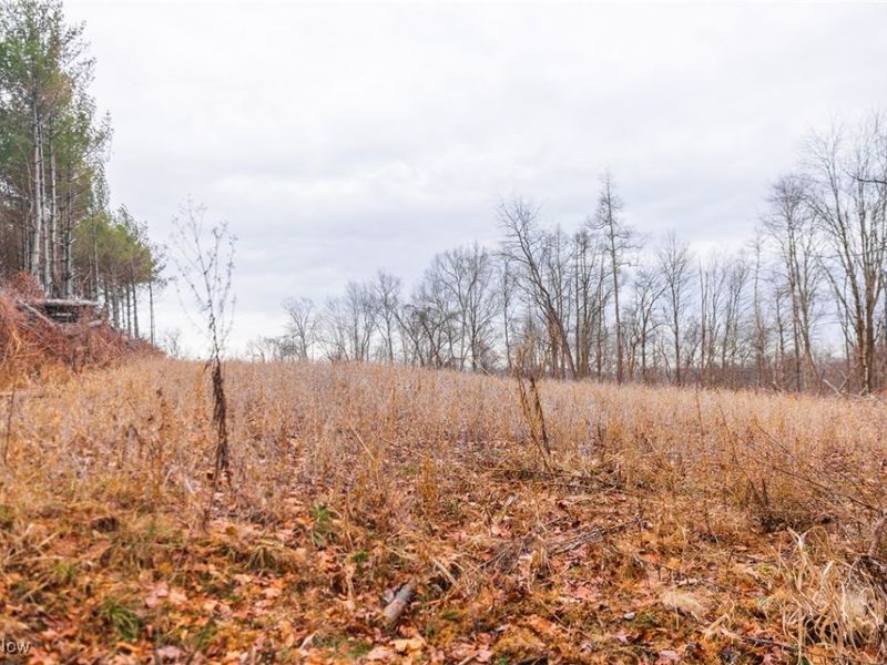 Glen Long Road, Caldwell, OH 43724 Photo 17