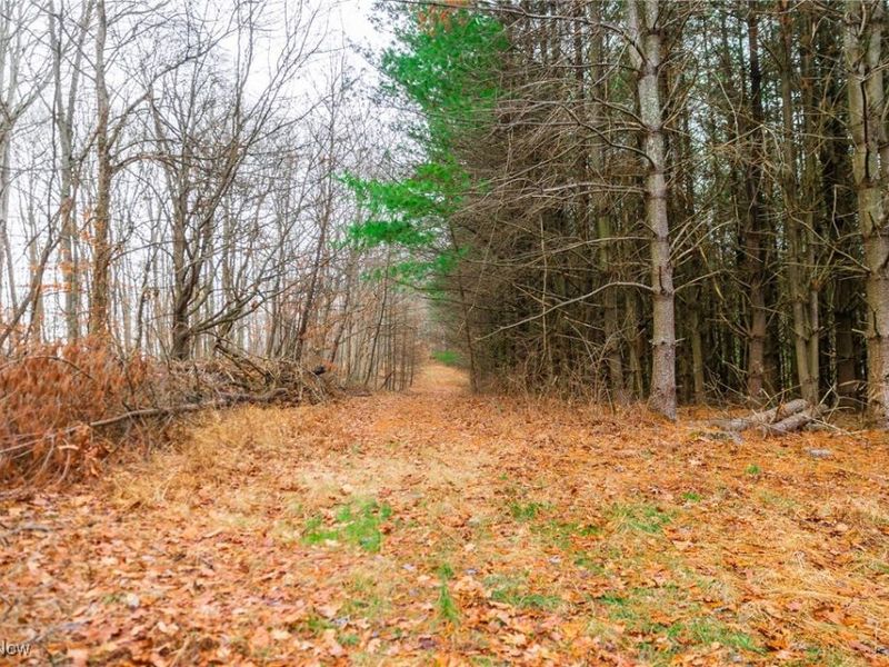 Glen Long Road, Caldwell, OH 43724 Photo 18