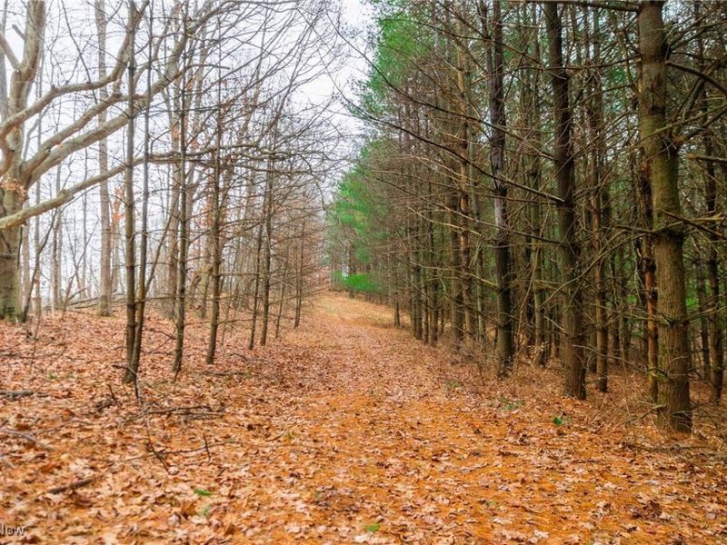 Glen Long Road, Caldwell, OH 43724 Photo 19