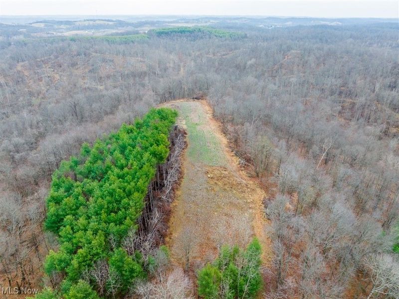 Glen Long Road, Caldwell, OH 43724 Photo 20