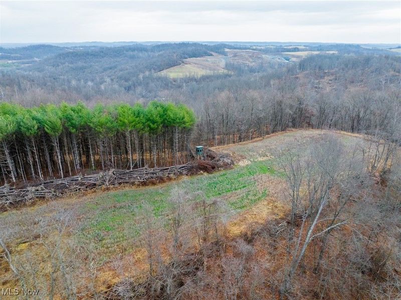Glen Long Road, Caldwell, OH 43724 Photo 21