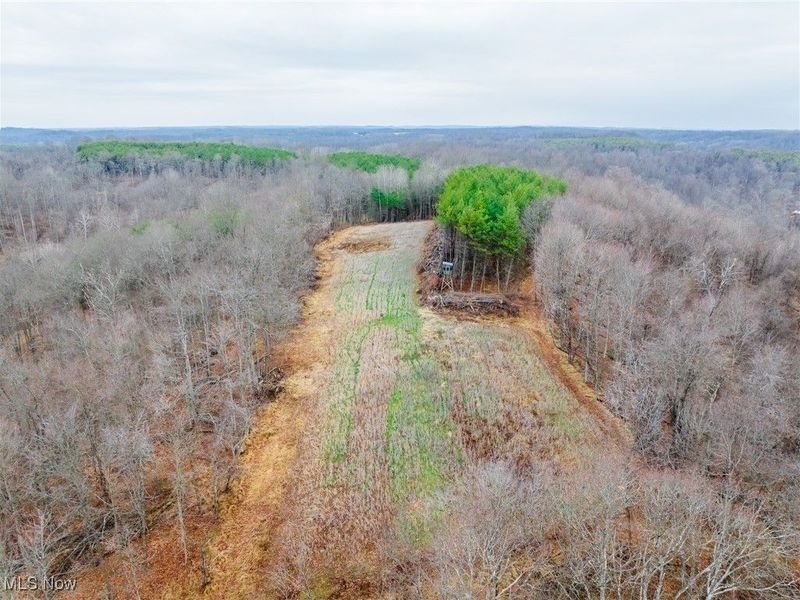 Glen Long Road, Caldwell, OH 43724 Photo 22