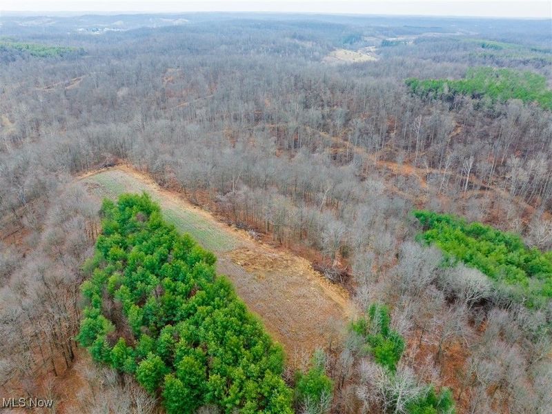 Glen Long Road, Caldwell, OH 43724 Photo 23