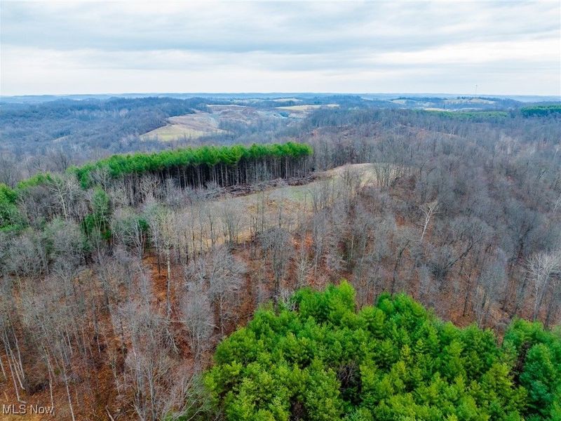 Glen Long Road, Caldwell, OH 43724 Photo 28