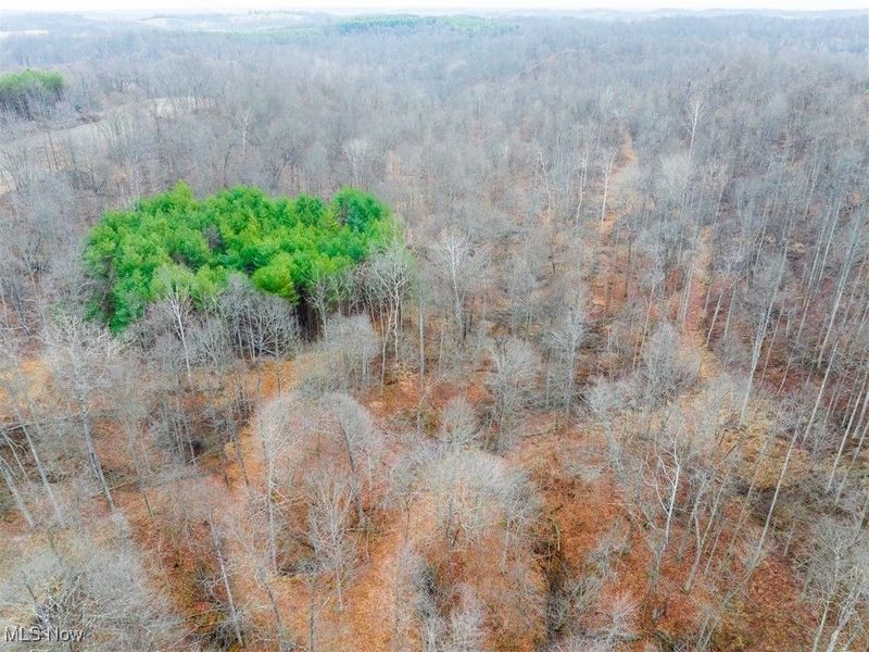 Glen Long Road, Caldwell, OH 43724 Photo 29