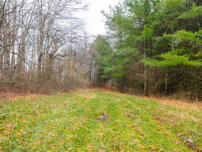 Glen Long Road, Caldwell, OH 43724 Photo 3