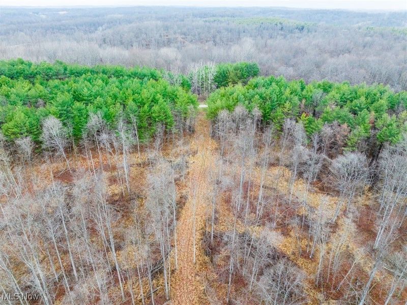 Glen Long Road, Caldwell, OH 43724 Photo 30