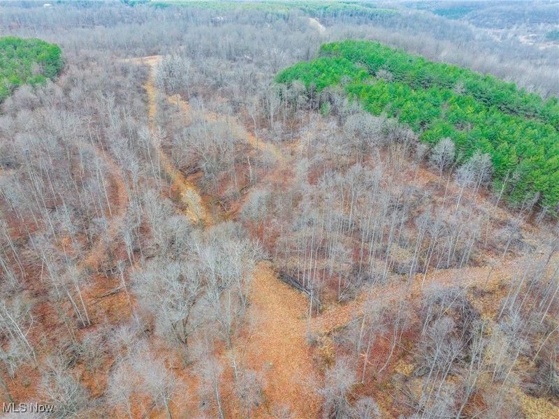 Glen Long Road, Caldwell, OH 43724 Photo 31