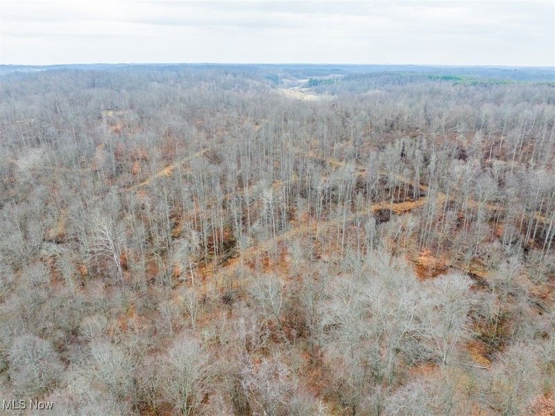 Glen Long Road, Caldwell, OH 43724 Photo 32