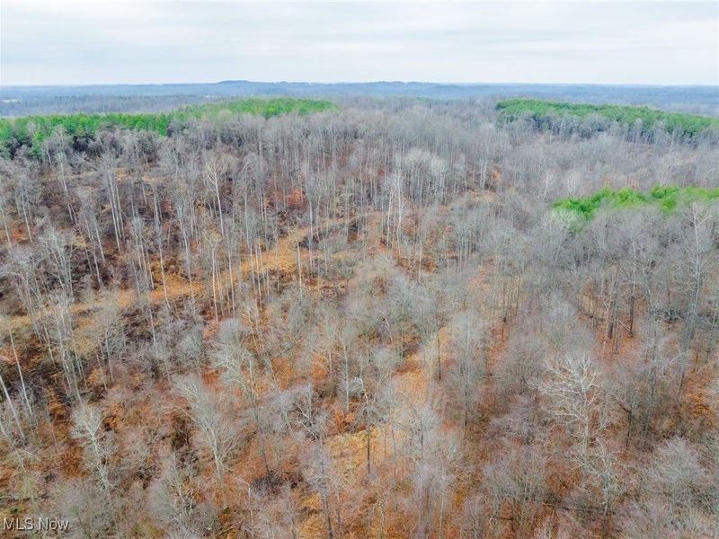 Glen Long Road, Caldwell, OH 43724 Photo 33