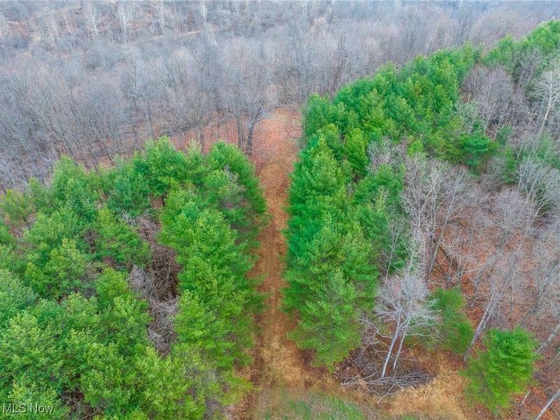 Glen Long Road, Caldwell, OH 43724 Photo 34