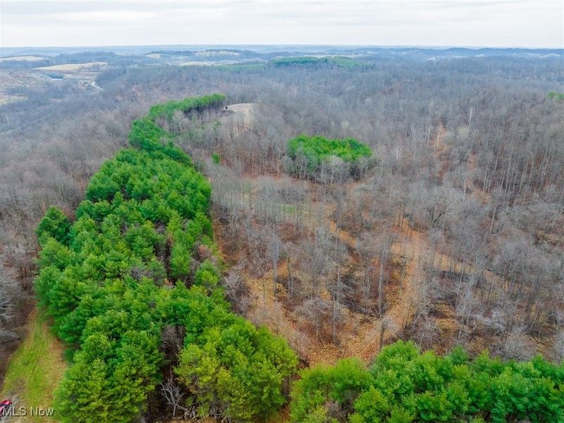 Glen Long Road, Caldwell, OH 43724 Photo 37