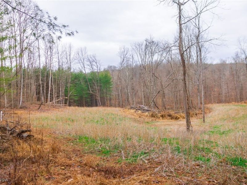 Glen Long Road, Caldwell, OH 43724 Photo 38