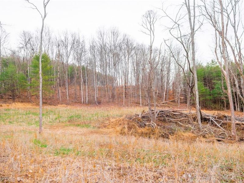 Glen Long Road, Caldwell, OH 43724 Photo 39