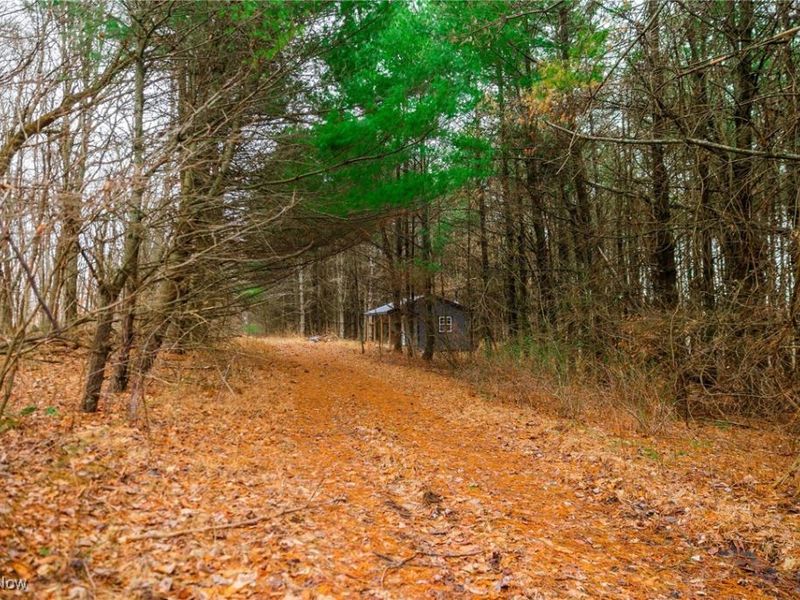 Glen Long Road, Caldwell, OH 43724 Photo 4