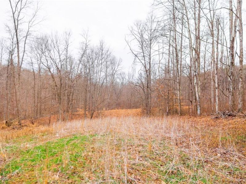 Glen Long Road, Caldwell, OH 43724 Photo 40