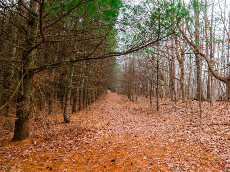 Glen Long Road, Caldwell, OH 43724 Photo 41