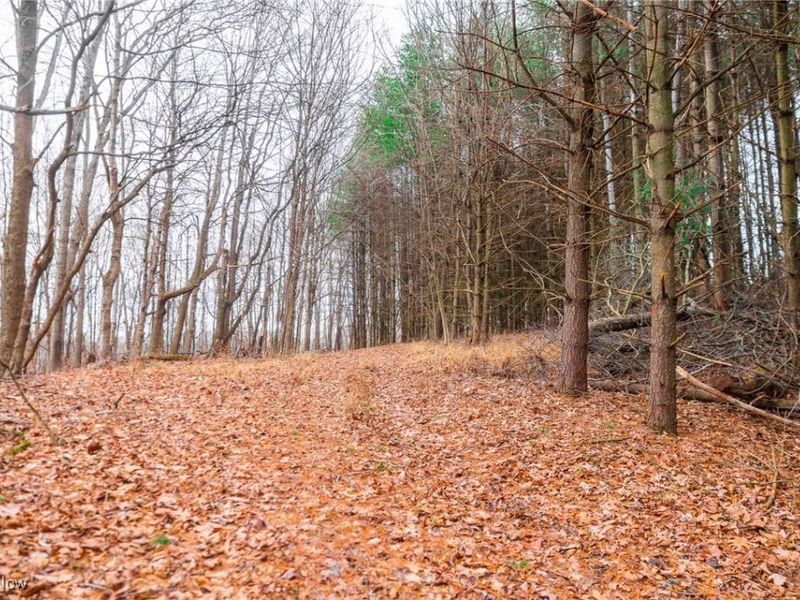 Glen Long Road, Caldwell, OH 43724 Photo 42