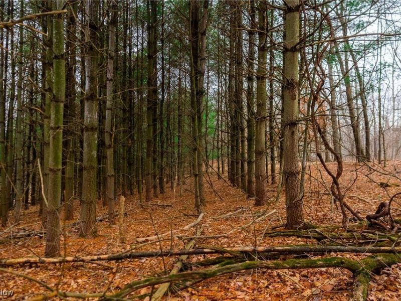 Glen Long Road, Caldwell, OH 43724 Photo 43