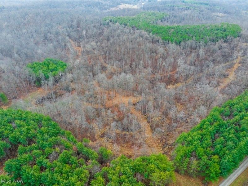 Glen Long Road, Caldwell, OH 43724 Photo 44