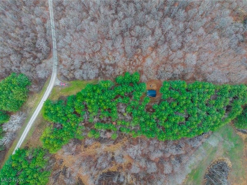 Glen Long Road, Caldwell, OH 43724 Photo 45