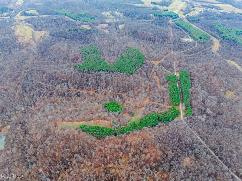 Glen Long Road, Caldwell, OH 43724 Photo 46