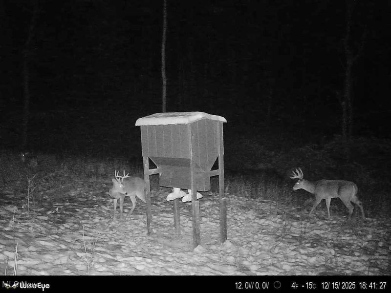 Glen Long Road, Caldwell, OH 43724 Photo 48