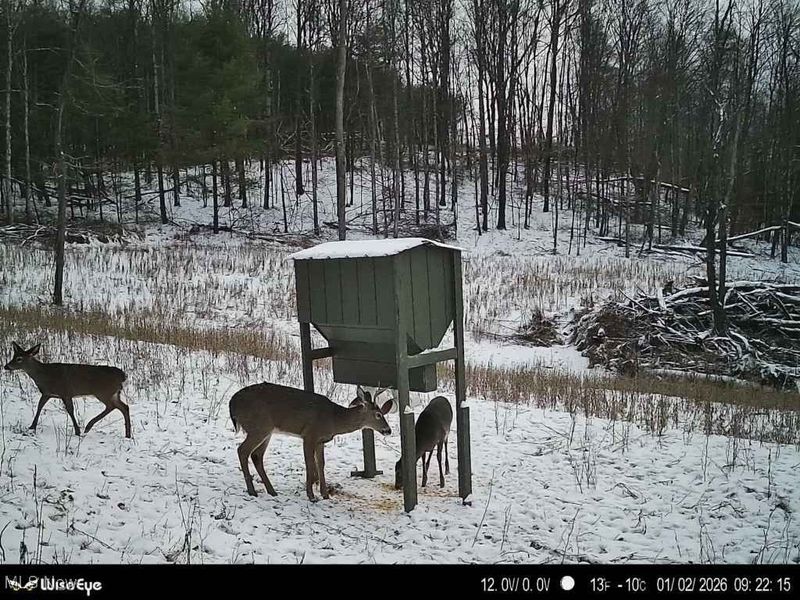 Glen Long Road, Caldwell, OH 43724 Photo 49