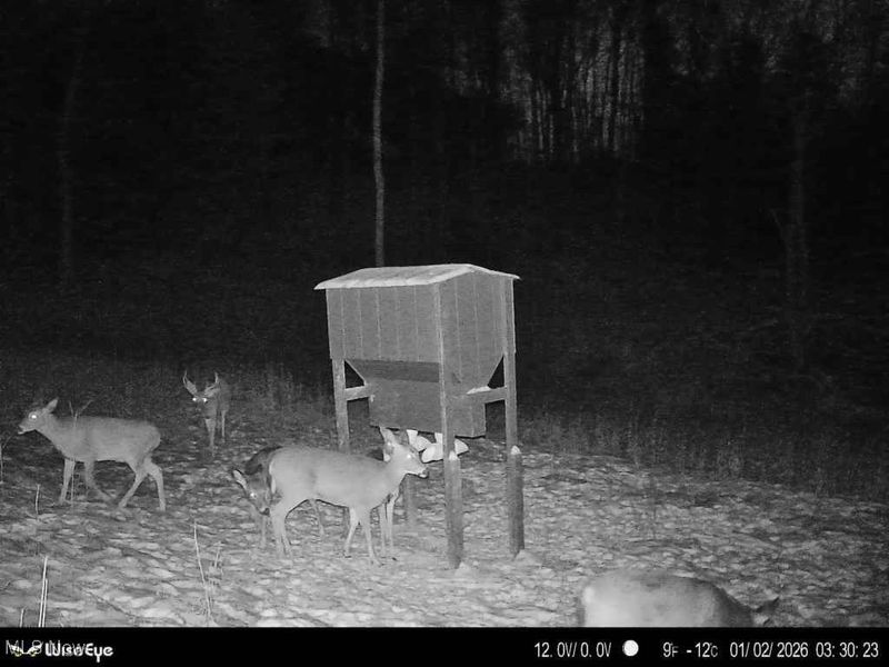 Glen Long Road, Caldwell, OH 43724 Photo 50