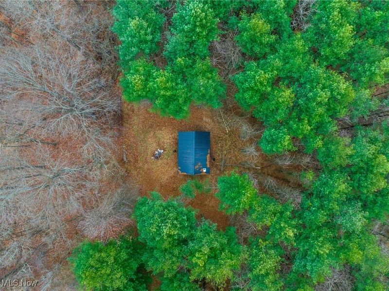 Glen Long Road, Caldwell, OH 43724 Photo 6