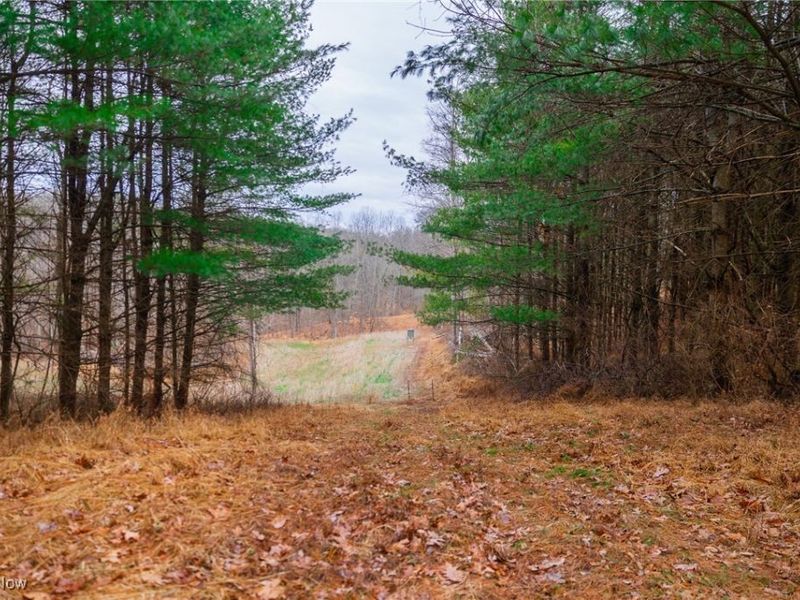 Glen Long Road, Caldwell, OH 43724 Photo 7