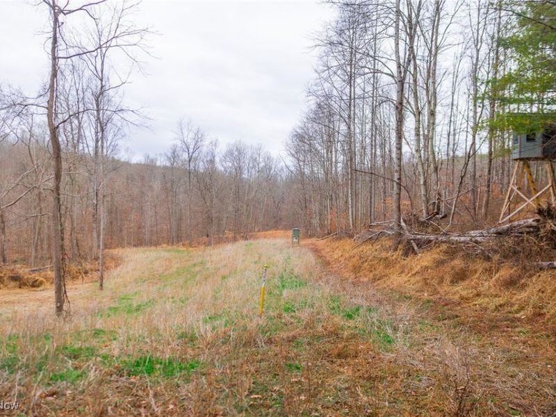 Glen Long Road, Caldwell, OH 43724 Photo 8