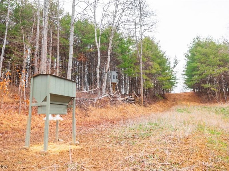 Glen Long Road, Caldwell, OH 43724 Photo 9