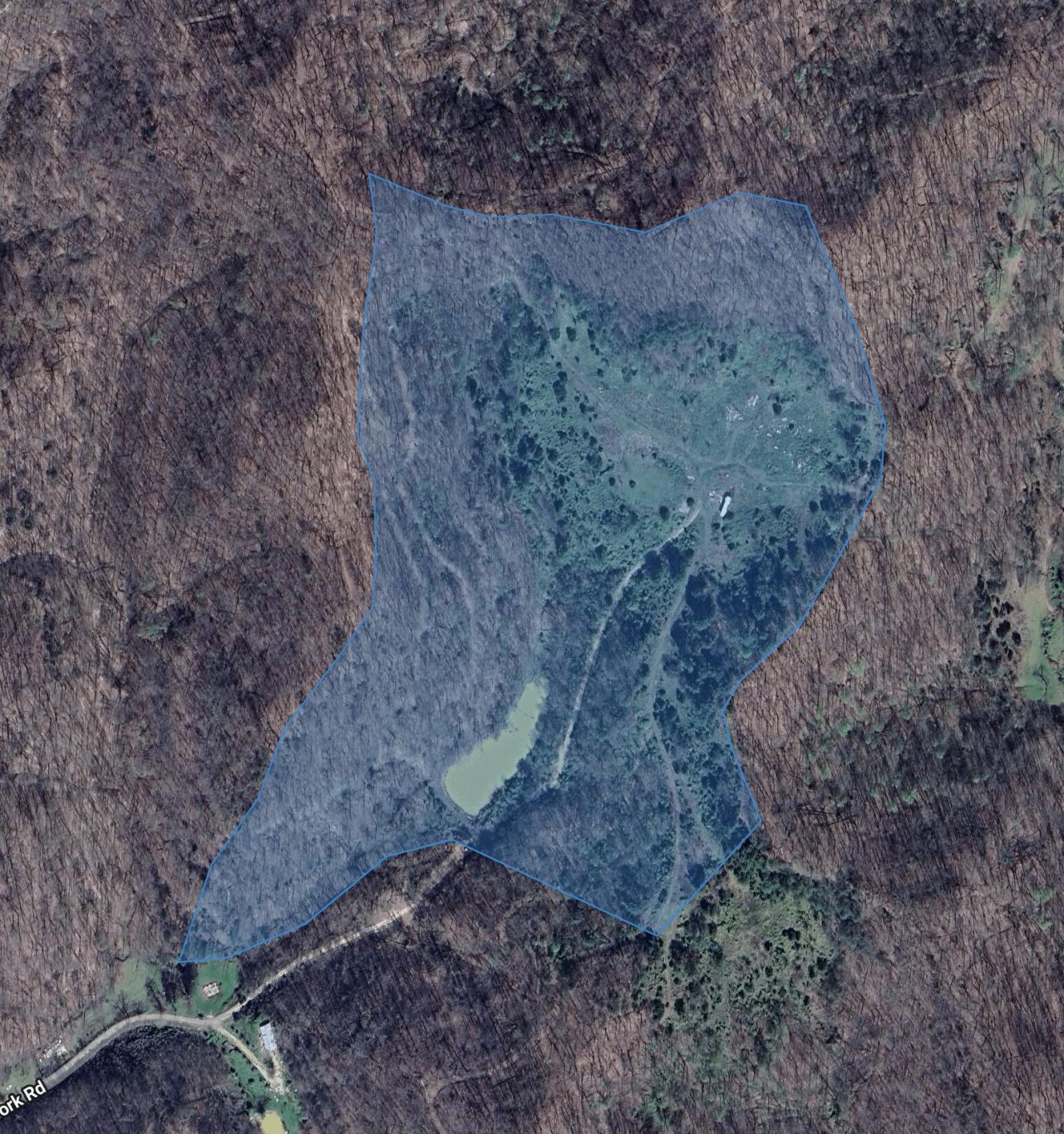 0 Bean Fork Road, Jackson, KY 41339 Main Photo