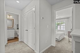 1006 Tundra Teal Lane photo 4