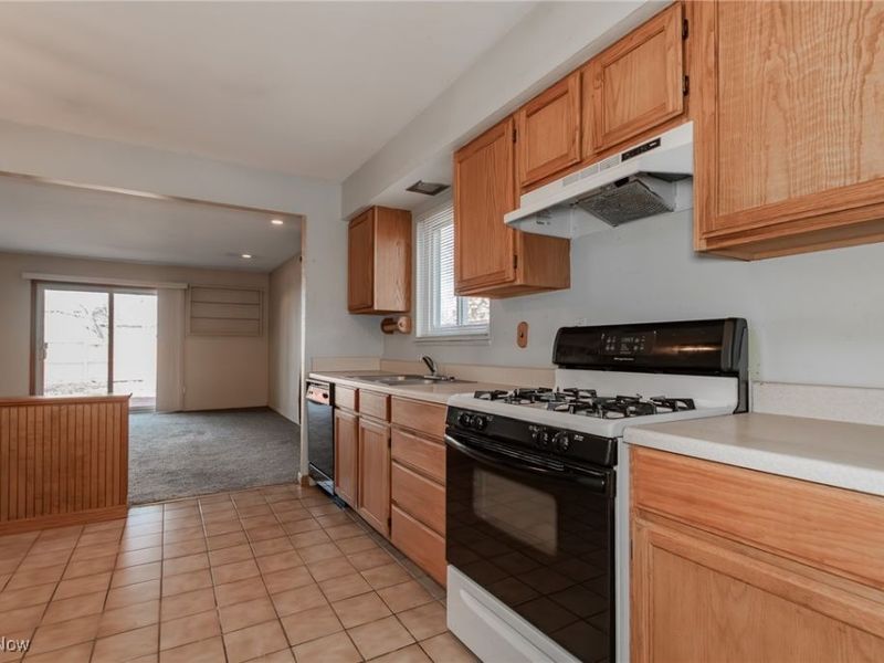 7641 Fern Drive, Mentor on the Lake, OH 44060 Photo 10