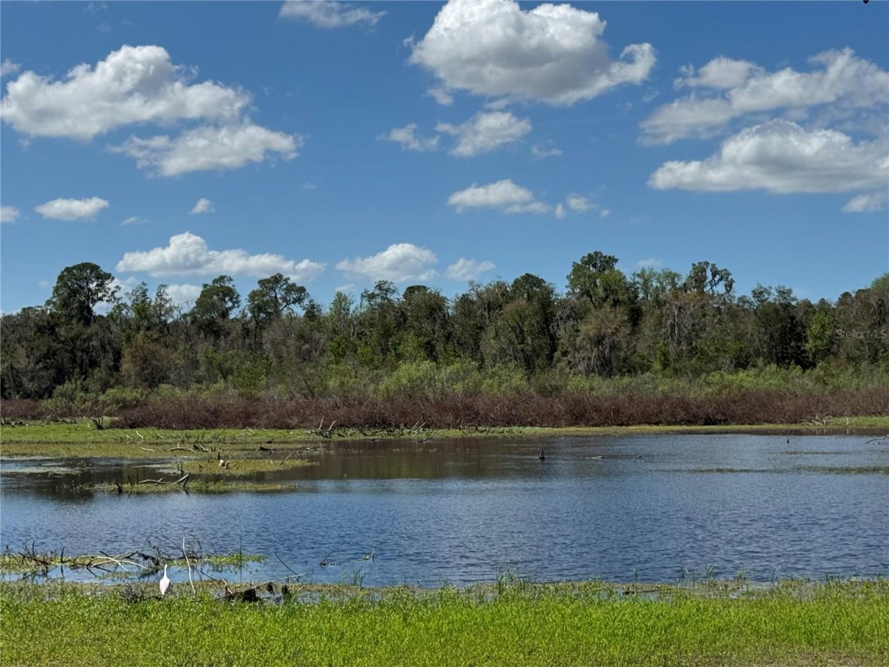 11325 Hidden Valley Lane, Riverview, FL 33569 Photo