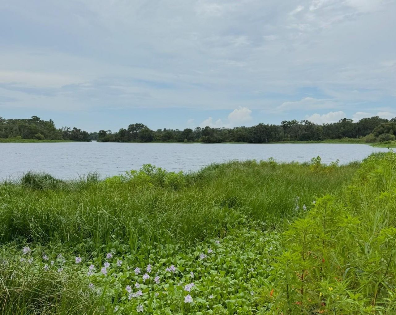 11325 Hidden Valley Lane, Riverview, FL 33569 Photo